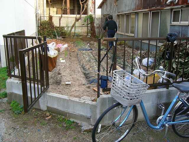 きぬさや、スナックエンドウの種を蒔きました。