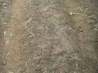 GhEA󓤂̎d܂B