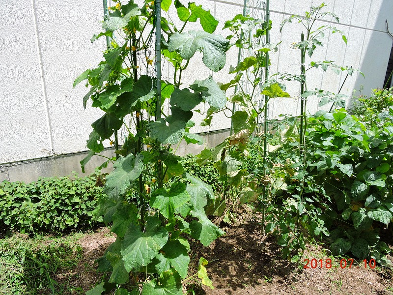 710̗lq