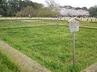 井田(せいでん)