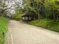 馬場