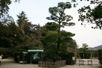 平四郎の松