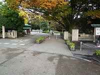 ここから後楽園