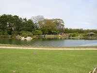 沢の池