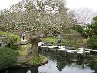 八つ橋