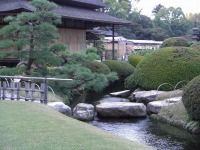 岡山後楽園の水辺の松