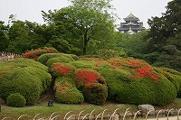 ỷ