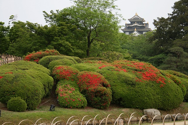 ỷ