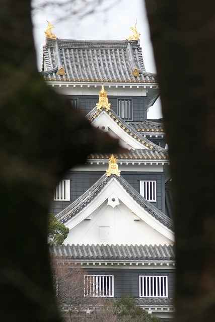 ʐ^WAyỎG邻̓