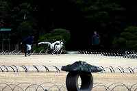 ʐ^WAyO߂̔