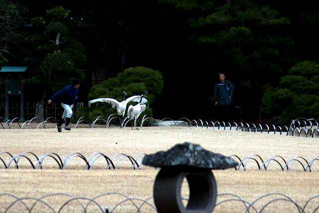 ʐ^WAyO߂̔