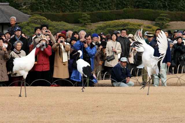 ʐ^WAyO߂̔