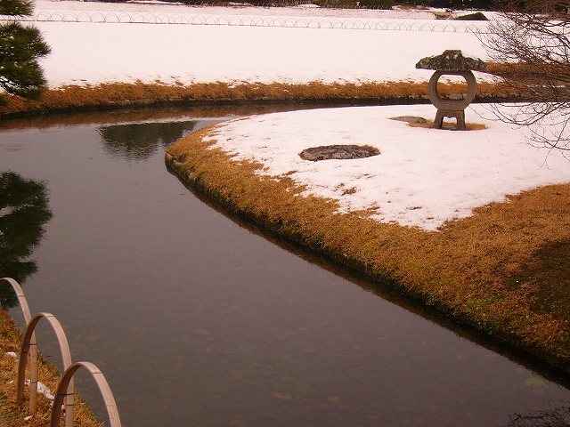 ʐ^WAy̐iF