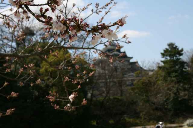 yAт̍̉ԂƉG