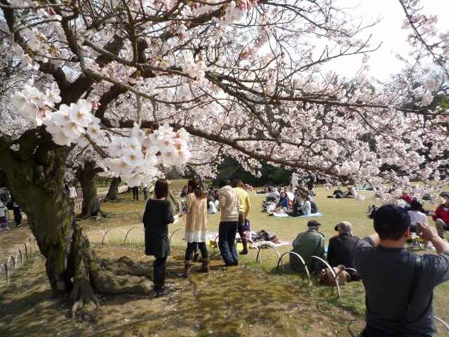 yAт̍J