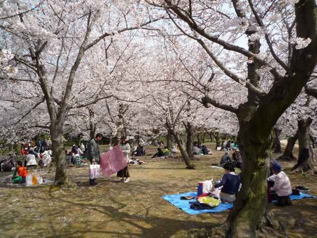 yAт̍J