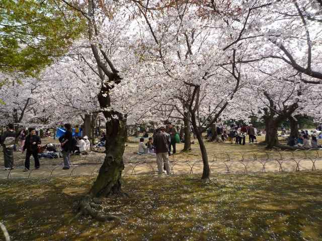 yAт̍J