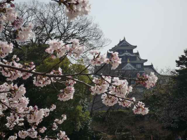 yAт̍J