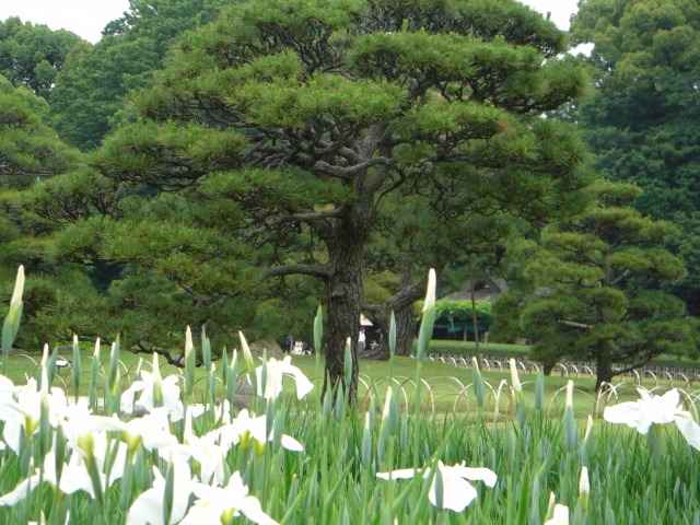 ԏҊ炫n߂܂B