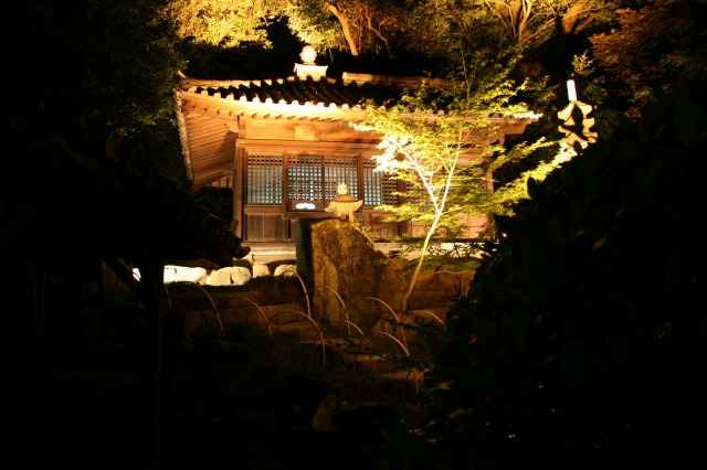 z뉀Aڂ̗lq