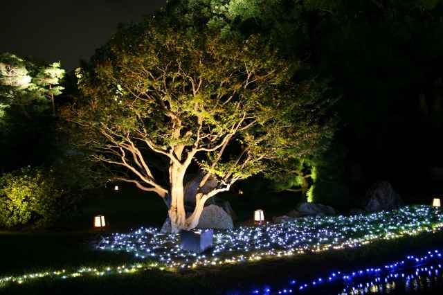 幻想庭園、曲水の部