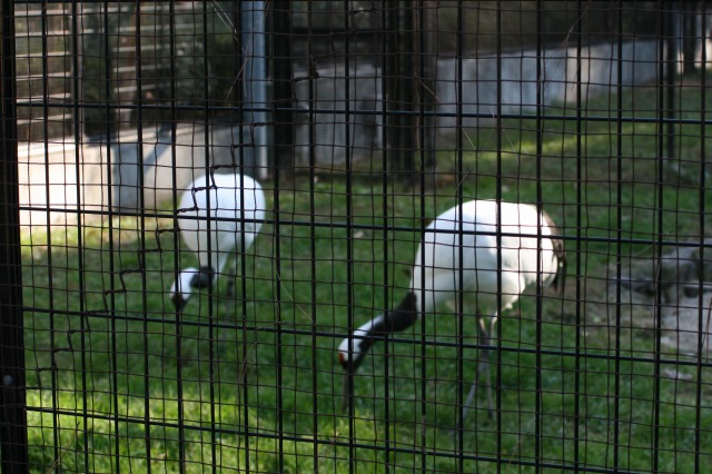 Ǔy