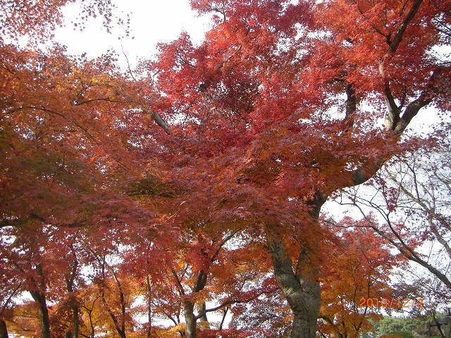 ygẗ