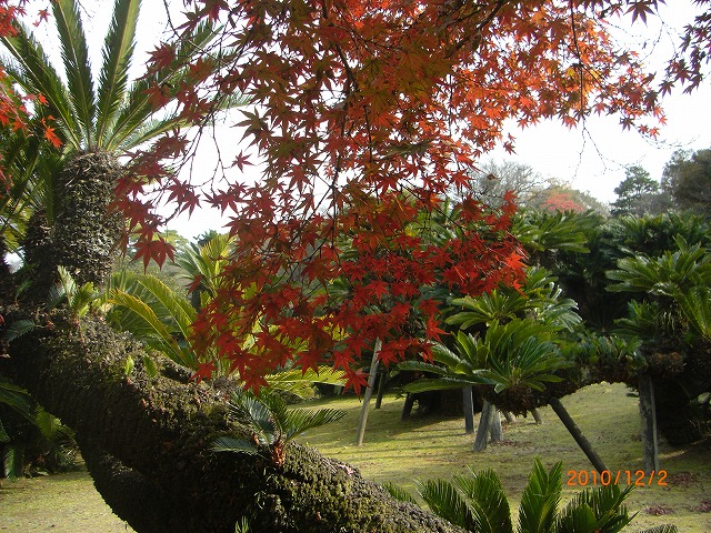 ygẗ
