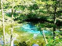 大変水のきれいな神の子池