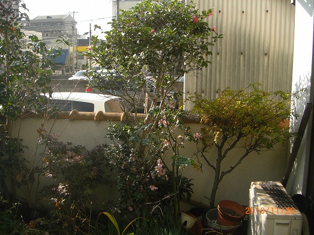 TUJ̉