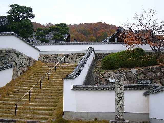 v뉀
