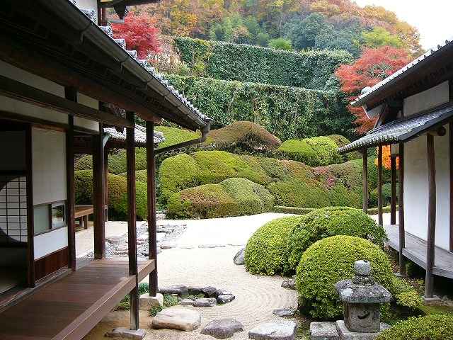 v뉀