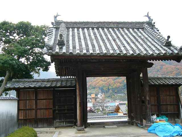v뉀