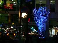 Nh̃NX}Xt