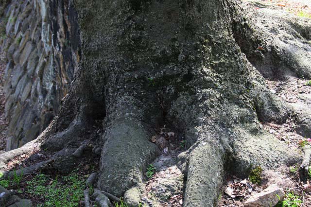 UŌ̐͂łB