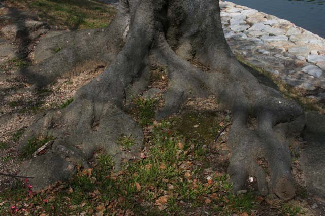 UŌ̐͂łB