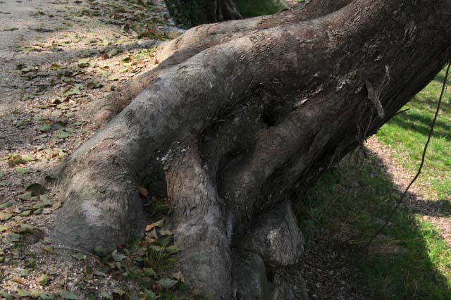 UŌ̐͂łB