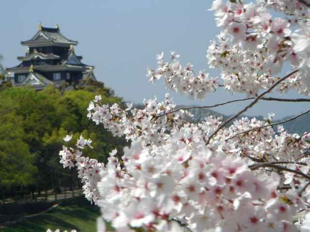 쉈̍̉