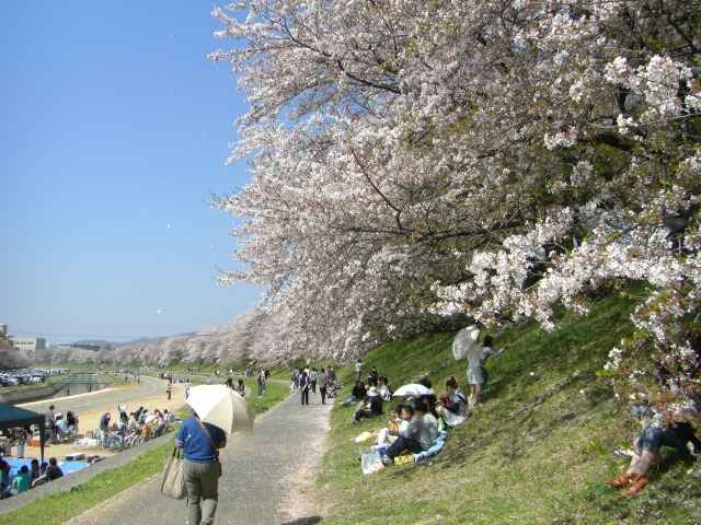 쉈̍̉