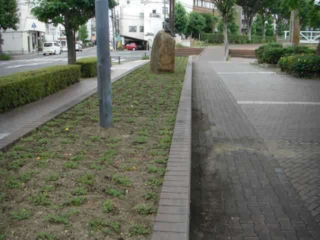 ԒdVȂ܂B