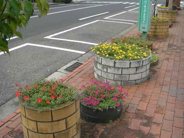 花壇の花その二