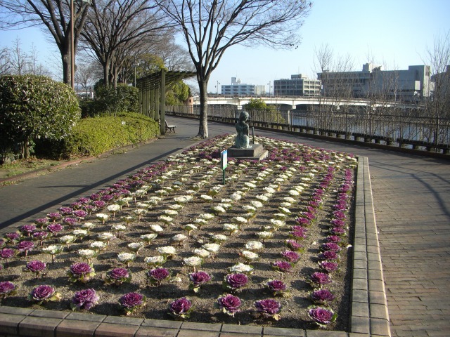̉Ԓd