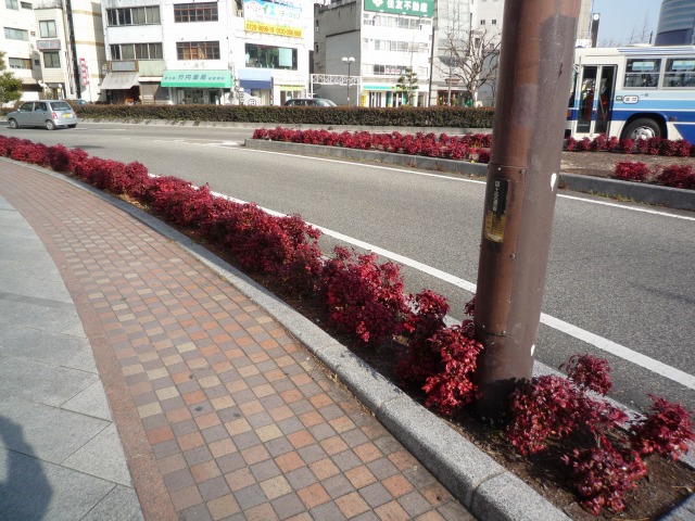 V̍gt