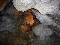 WGPCucA[