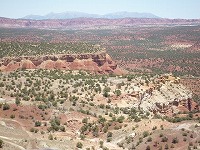 XgCNo[
