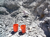 U-DigFossilで化石堀
