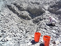 U-DigFossilで化石堀