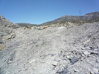 U-DigFossilで化石堀