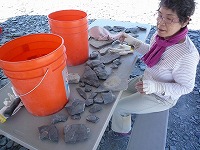 U-DigFossilで化石堀