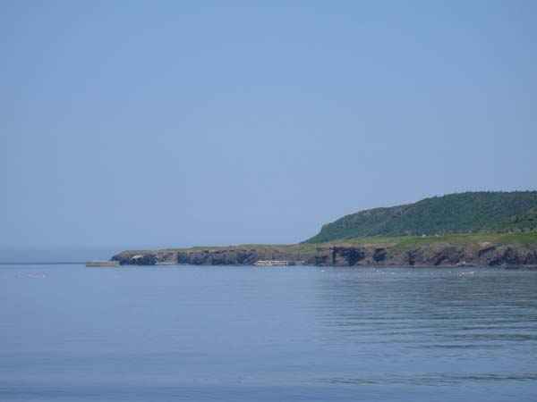 kCPsAmόDAm